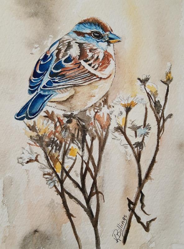American tree sparrow