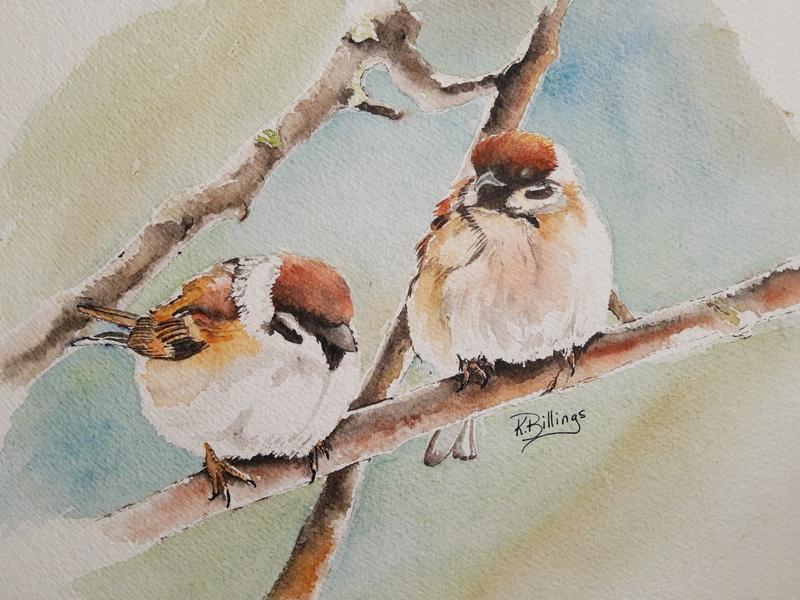 Two sparrows