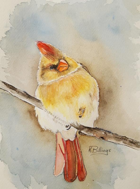 Winter Female cardinal