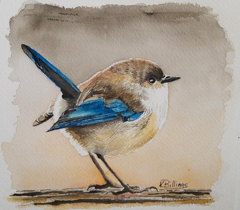 Fairy wren profile